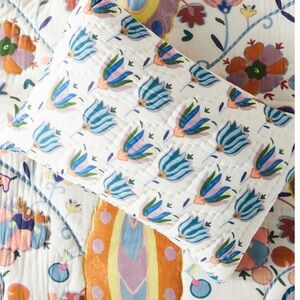 Anthropologie Standard Sham Set of 2